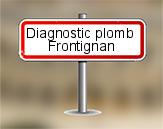 Diagnostic plomb ASE à Frontignan